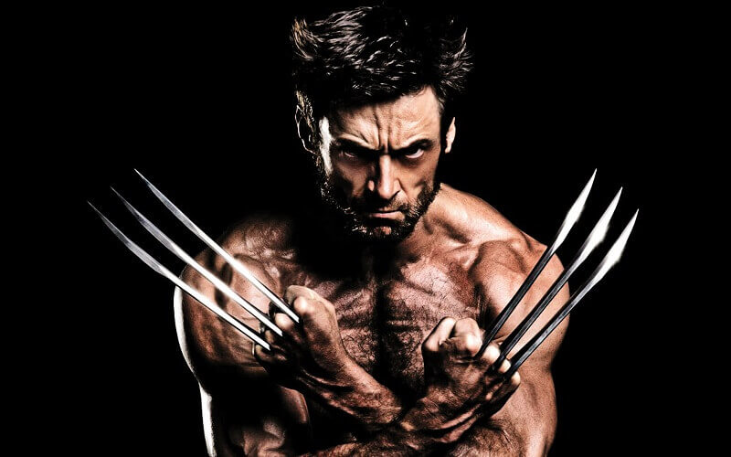 Wolverine Wolverine