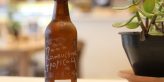 kombucha