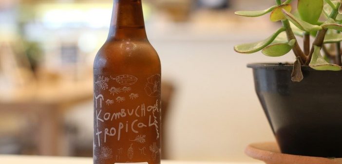 kombucha