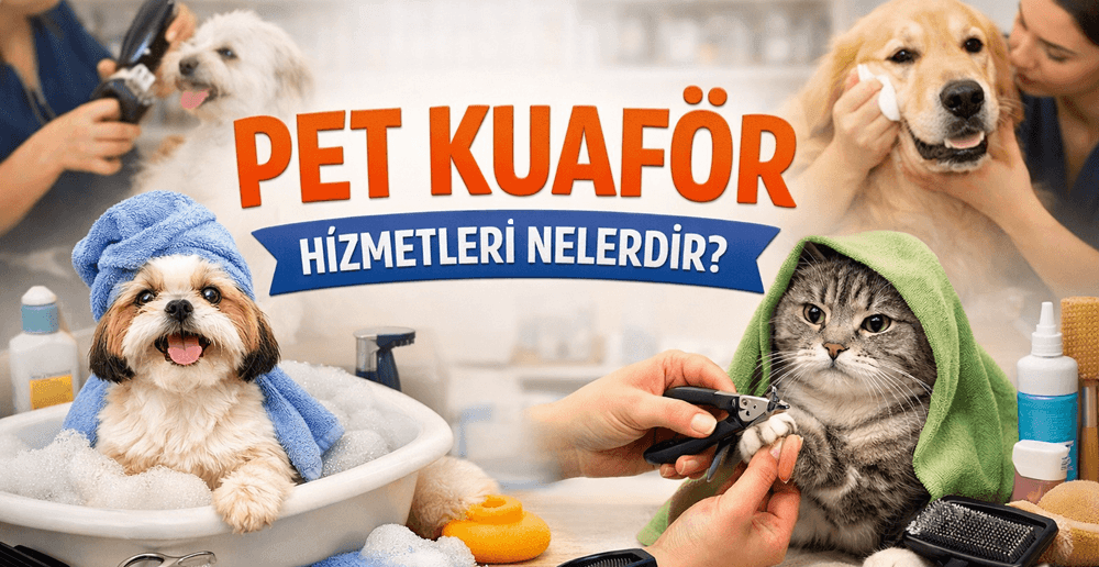 Pet Kuaför Hizmetleri