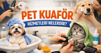 Pet Kuaför Hizmetleri